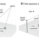 Image for article titled Bats Can Transmit "Signal Jamming" Sounds